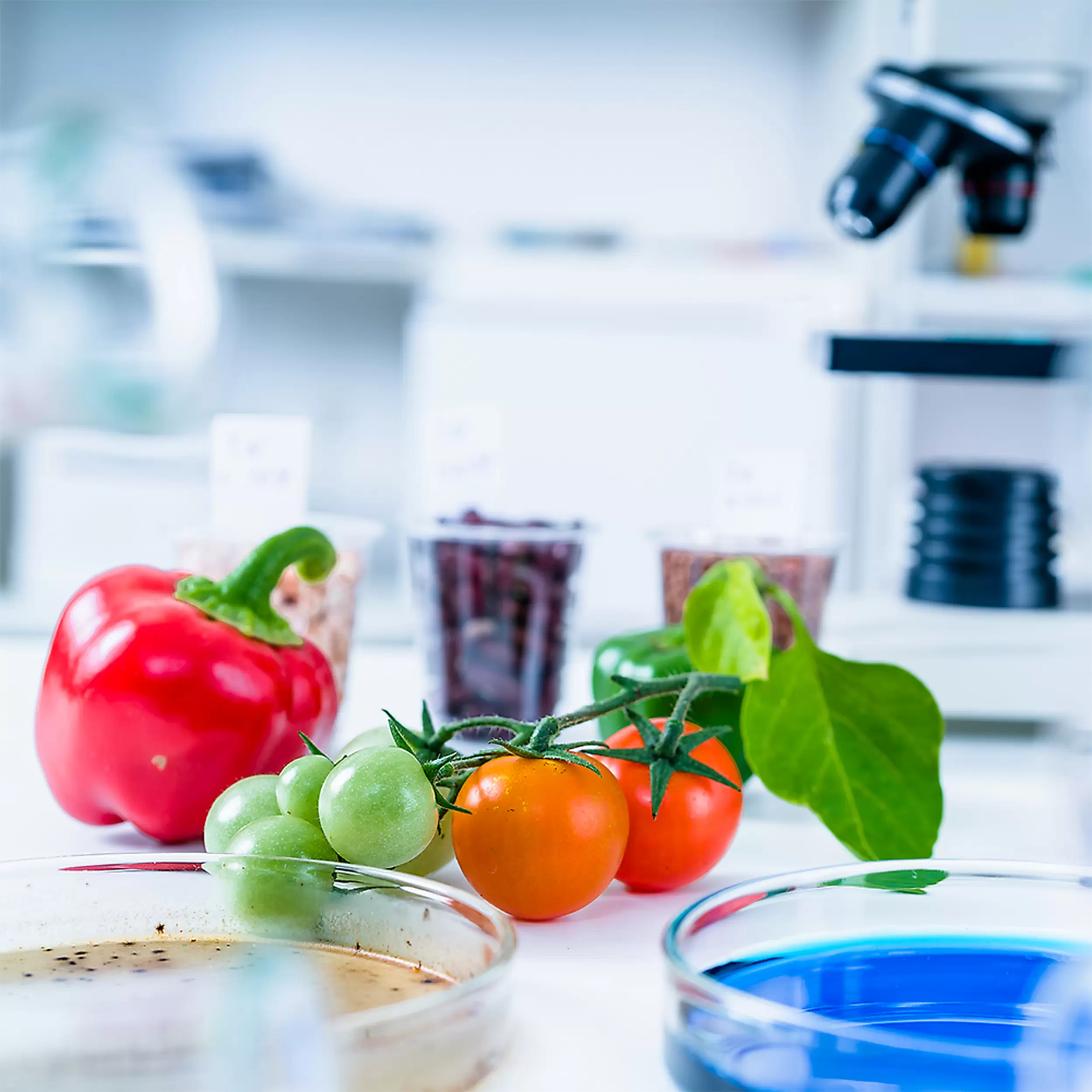 Косметическая химия. Food chemicals. Food chemicals. Технологии производства искусственная пища. Химия в пищевой промышленности.